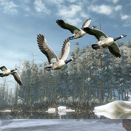 Cabelas Szabadtéri Élményfürdő 2010 - Xbox 360